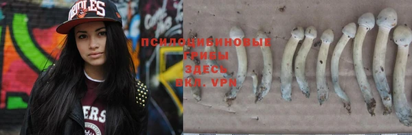 соль ск Арсеньев