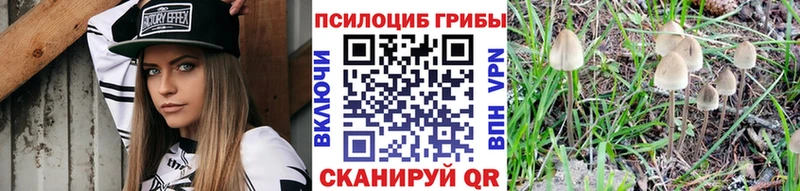 Галлюциногенные грибы мухоморы  купить наркотики цена  Белёв 